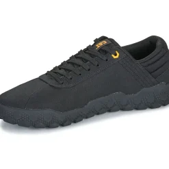 Caterpillar - HEX + CANVAS