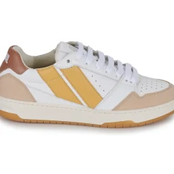 Caval - BROWN SAHARA