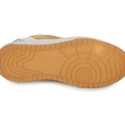 Caval - BROWN SAHARA