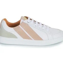 Caval - OG SLASH