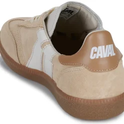 Caval - PULSE