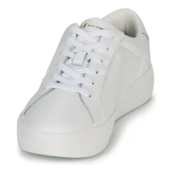 Champion - ERA LEATHER