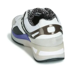 Champion - PRO PREMIUM