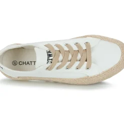 Chattawak - PACO