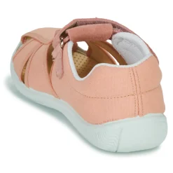 Citrouille et Compagnie - FIJOSAN