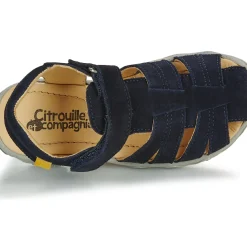 Citrouille et Compagnie - FILOLE