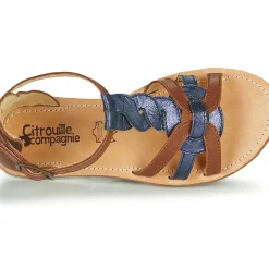 Citrouille et Compagnie - GITANOLO