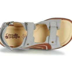 Citrouille et Compagnie - MASTIKO