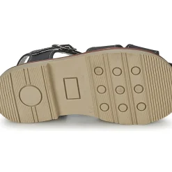 Citrouille et Compagnie - MOUNET