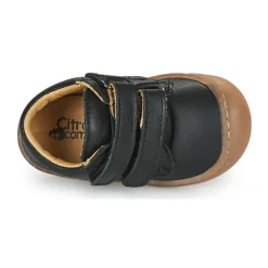 Citrouille et Compagnie - PIOTE