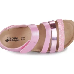 Citrouille et Compagnie - ZELLIE