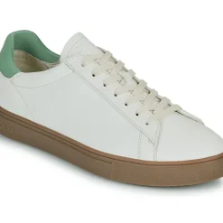 Clae - BRADLEY