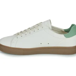 Clae - BRADLEY