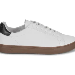 Clae - BRADLEY