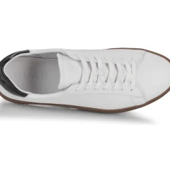 Clae - BRADLEY