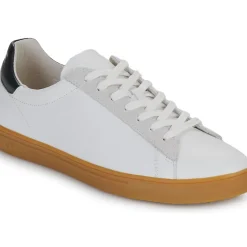 Clae - BRADLEY