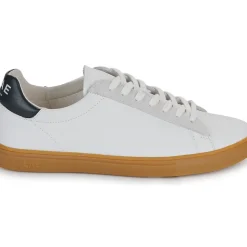 Clae - BRADLEY