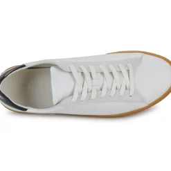 Clae - BRADLEY