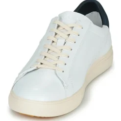 Clae - BRADLEY