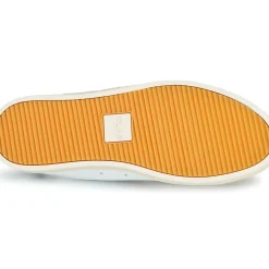 Clae - BRADLEY