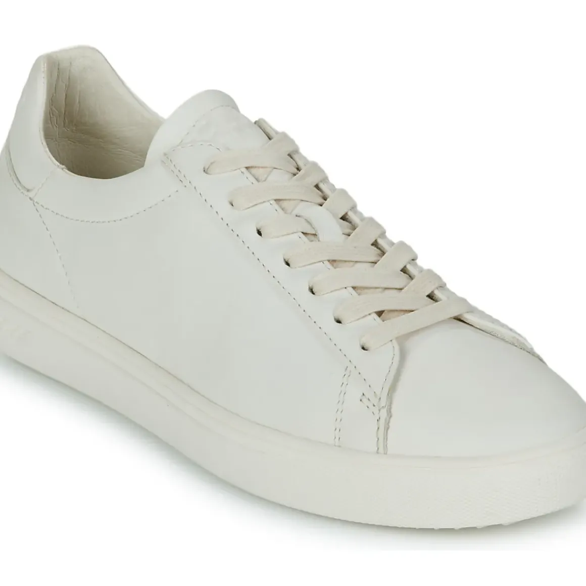 Clae - BRADLEY
