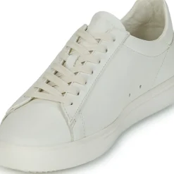 Clae - BRADLEY