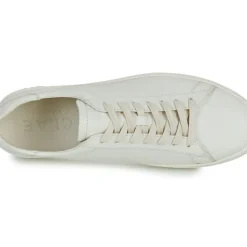 Clae - BRADLEY