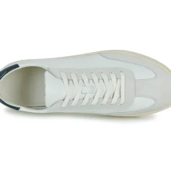Clae - DEANE