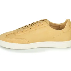 Clae - DEANE