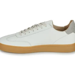 Clae - DEANE