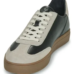 Clae - DEANE