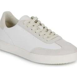 Clae - DEANE