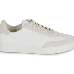Clae - DEANE