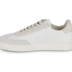 Clae - DEANE