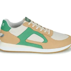 Clae - EDSON