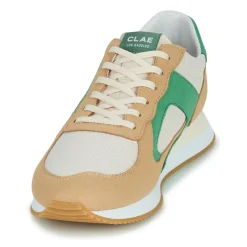 Clae - EDSON