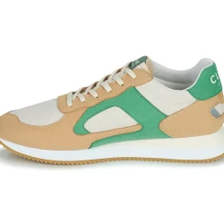 Clae - EDSON