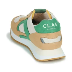 Clae - EDSON