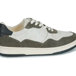 Clae - ELFORD