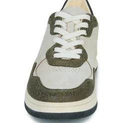 Clae - ELFORD