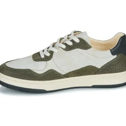 Clae - ELFORD