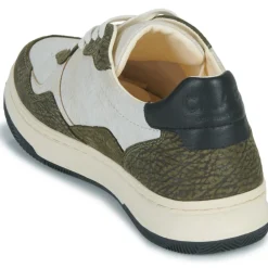 Clae - ELFORD