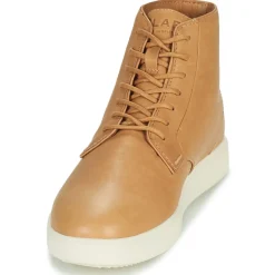 Clae - GIBSON