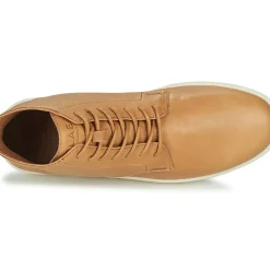 Clae - GIBSON