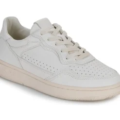 Clae - HAYWOOD