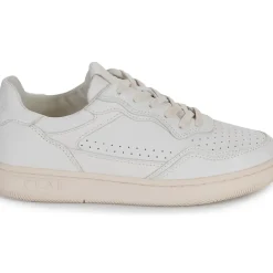 Clae - HAYWOOD