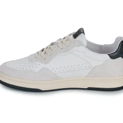 Clae - HAYWOOD