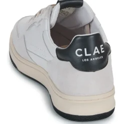 Clae - HAYWOOD