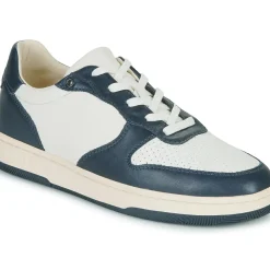 Clae - MALONE