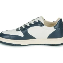 Clae - MALONE